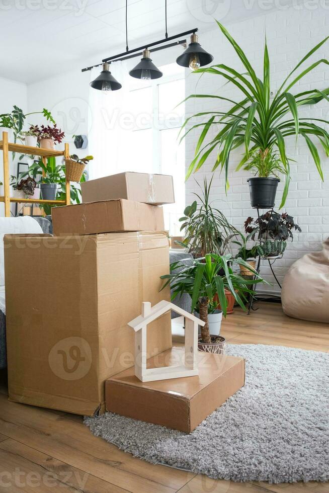 Boxes with things for moving and house plants are in the room of the new house. Housewarming, family property, cargo transportation and delivery of things photo