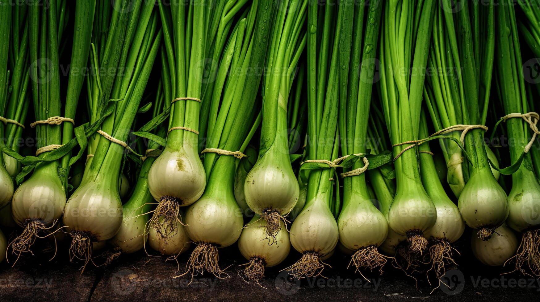 Realistic photo of a bunch of green onion. top view vegetables scenery.