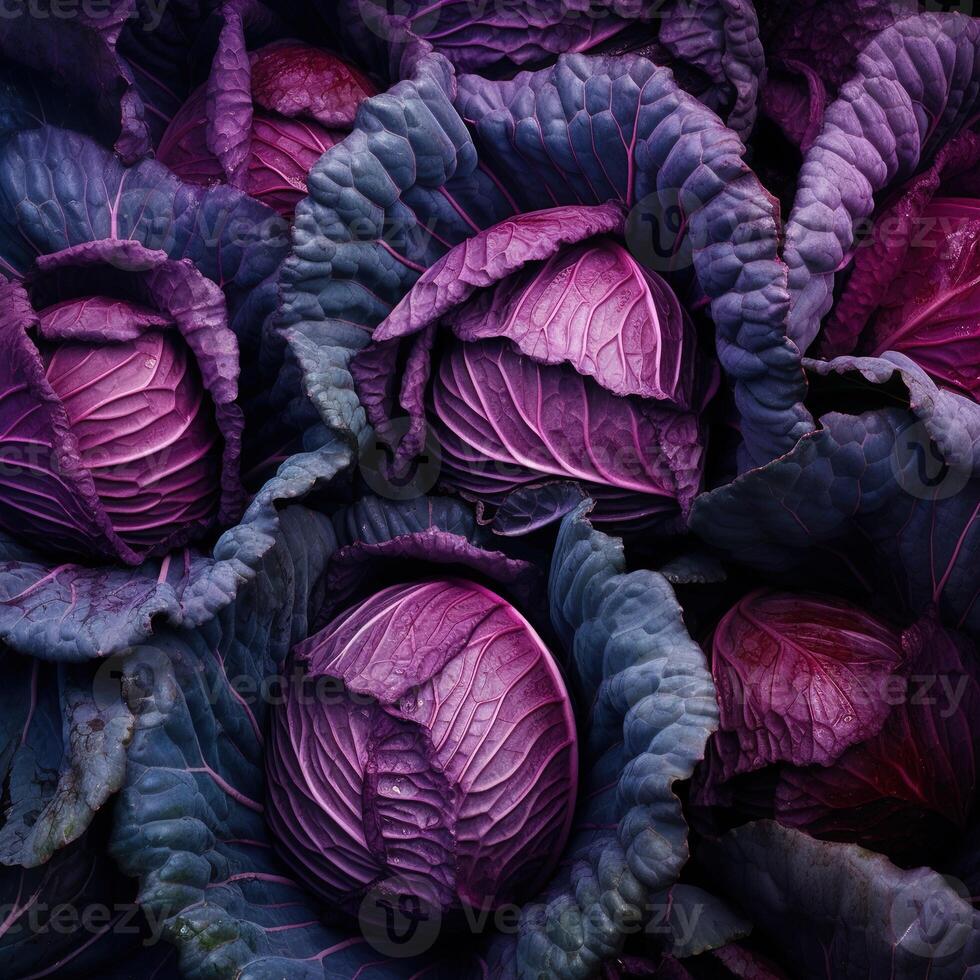 realista foto de un manojo de rojo repollo. parte superior ver vegetales escenario. ai generado