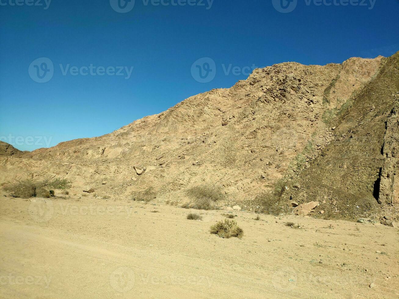 Desierto tierra con montañas y mar foto