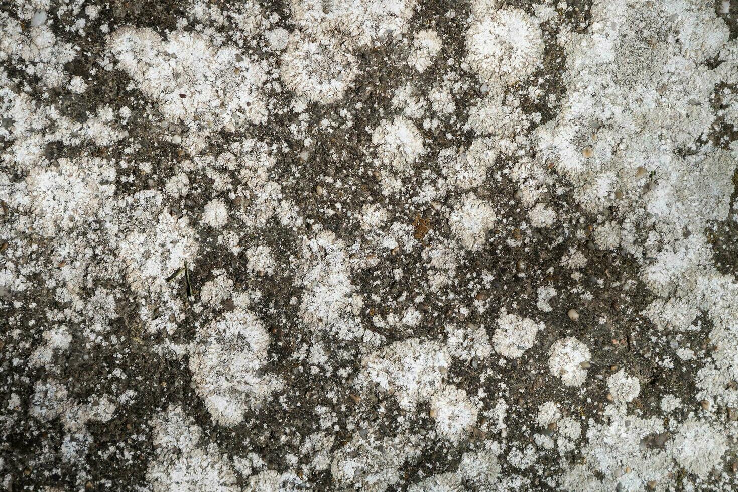 Cracked and abstract grunge texture. Aged material surface backdrop. Weathered effect pattern. Old and dirty background. photo