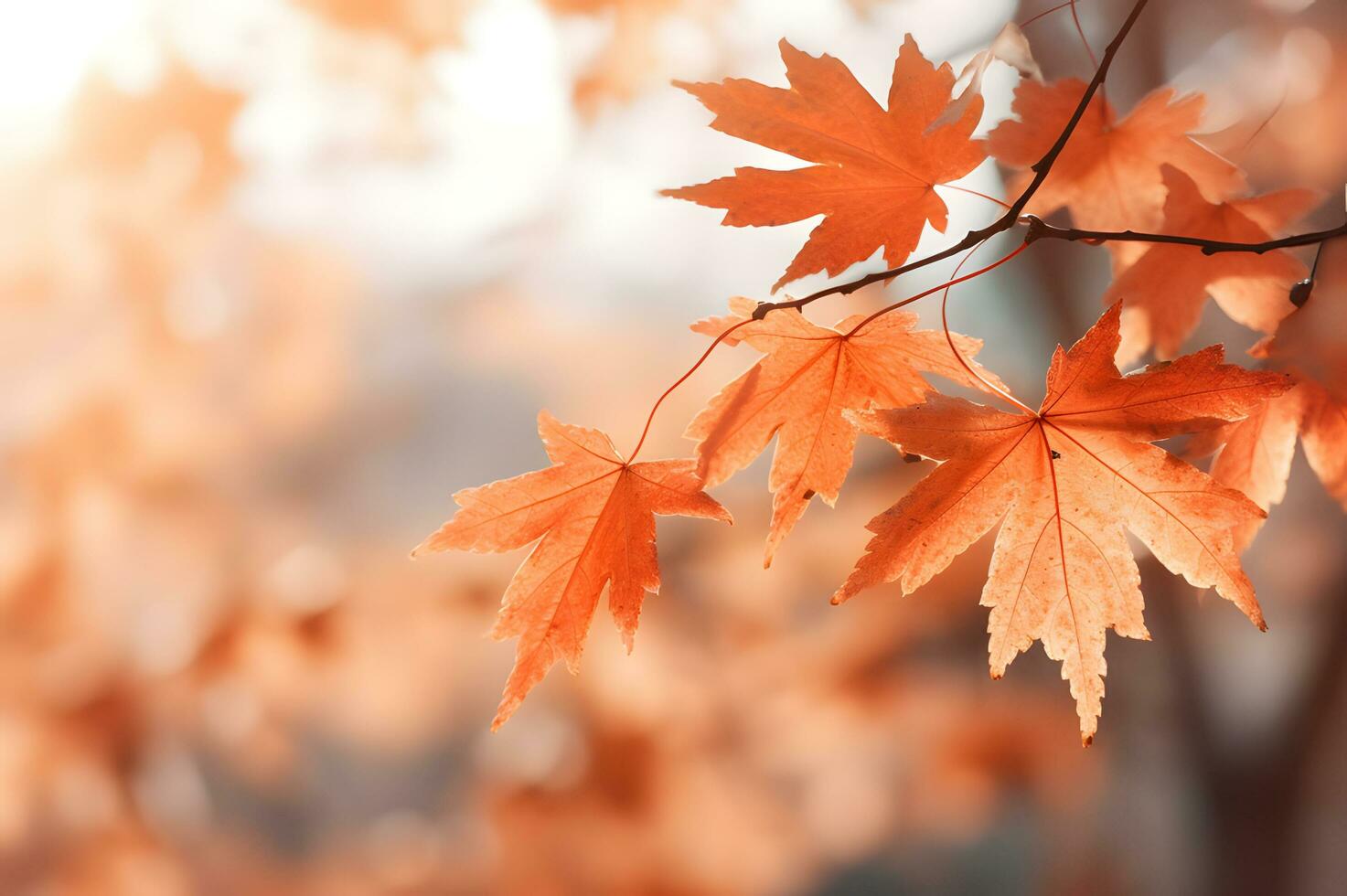 Dry autumn fall maple leaves in nature AI Generative photo