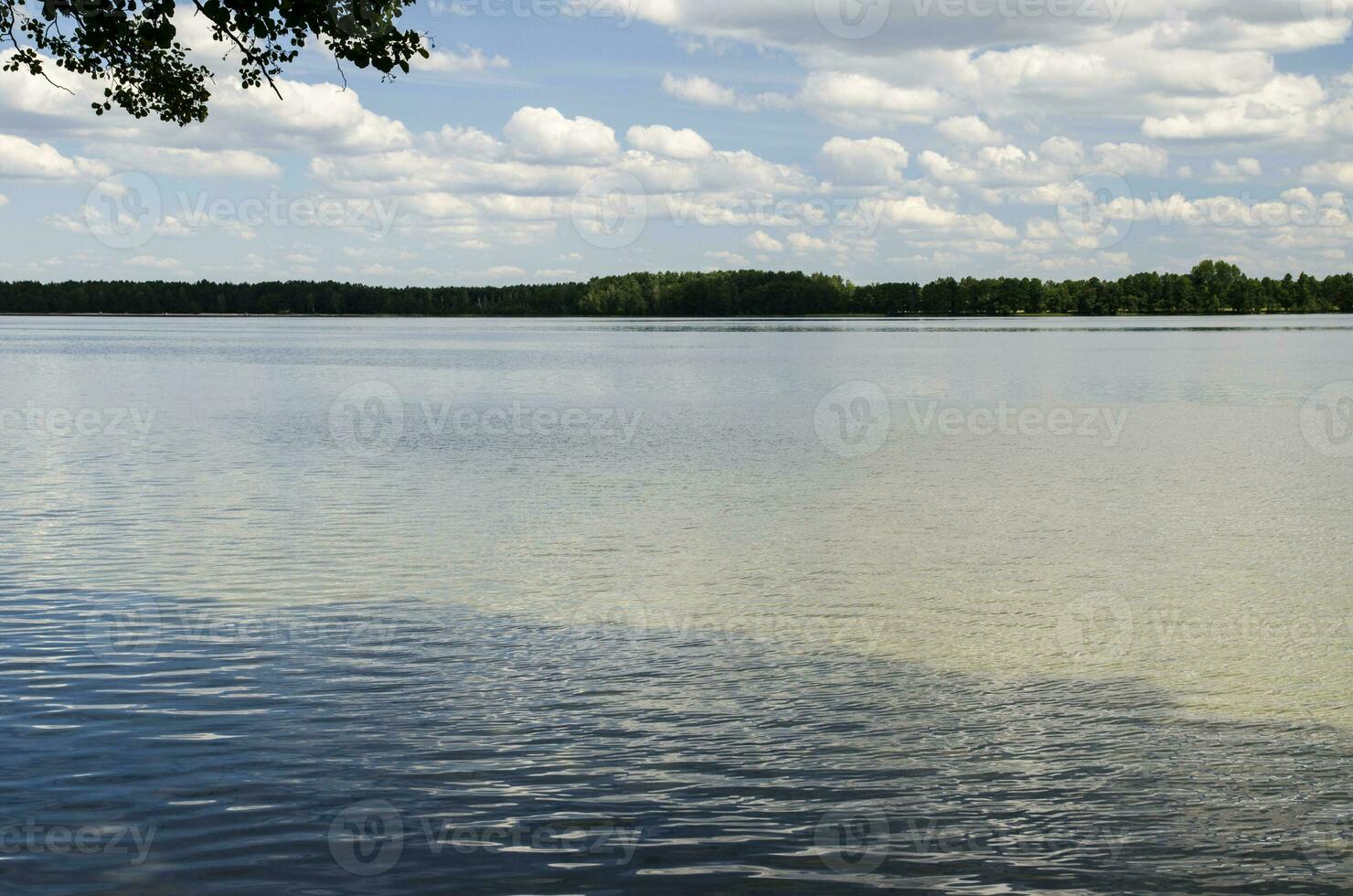 Waves in the evening lake photo