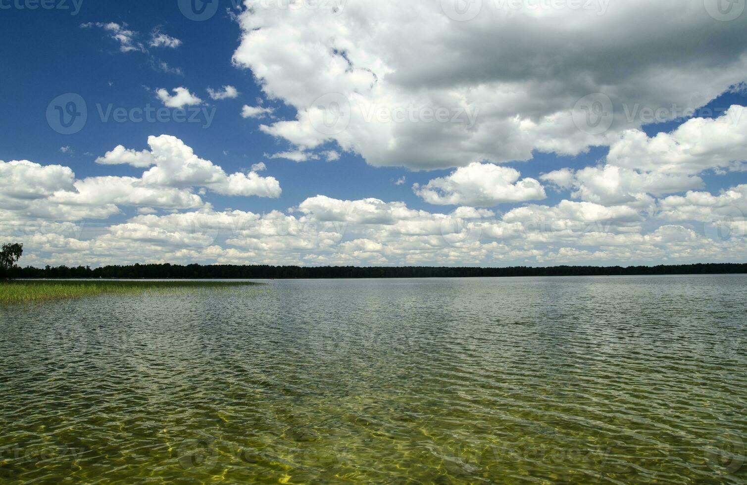 Pure summer lake water and beautiful scenery of nature photo