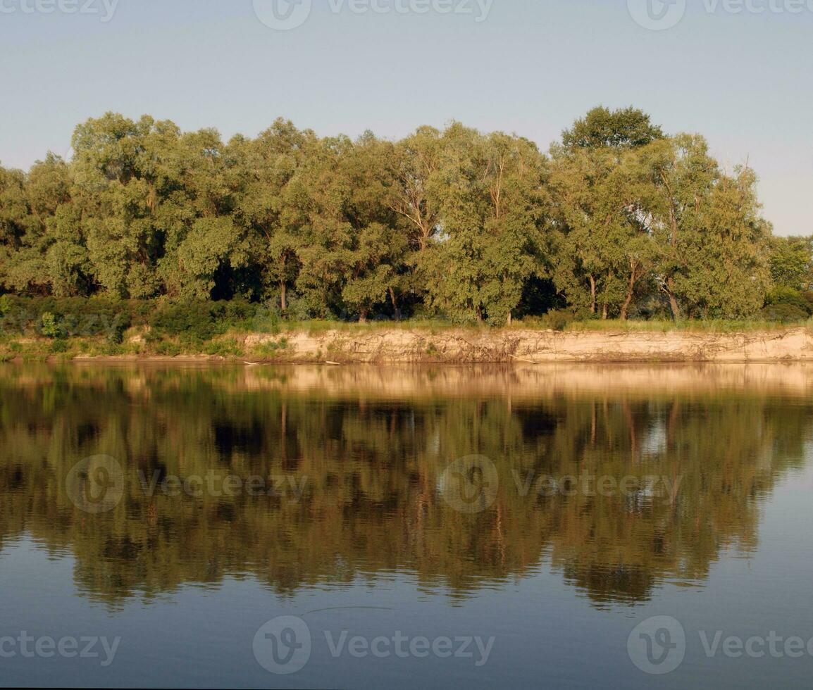 arboles agua reflexión foto