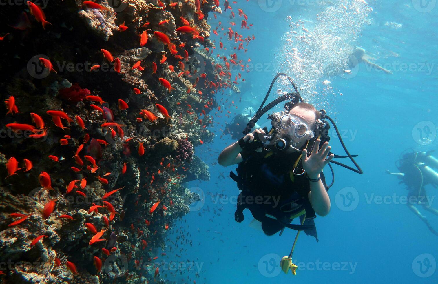 buceo en el rojo mar en Egipto, tropical arrecife foto