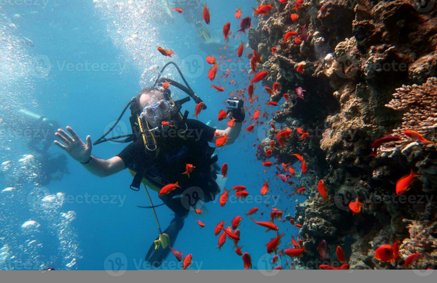 Diving in the Red Sea in Egypt, tropical reef photo