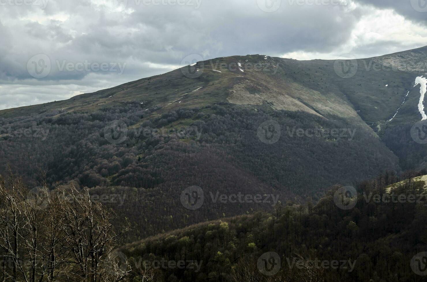 Dark mountain forest photo