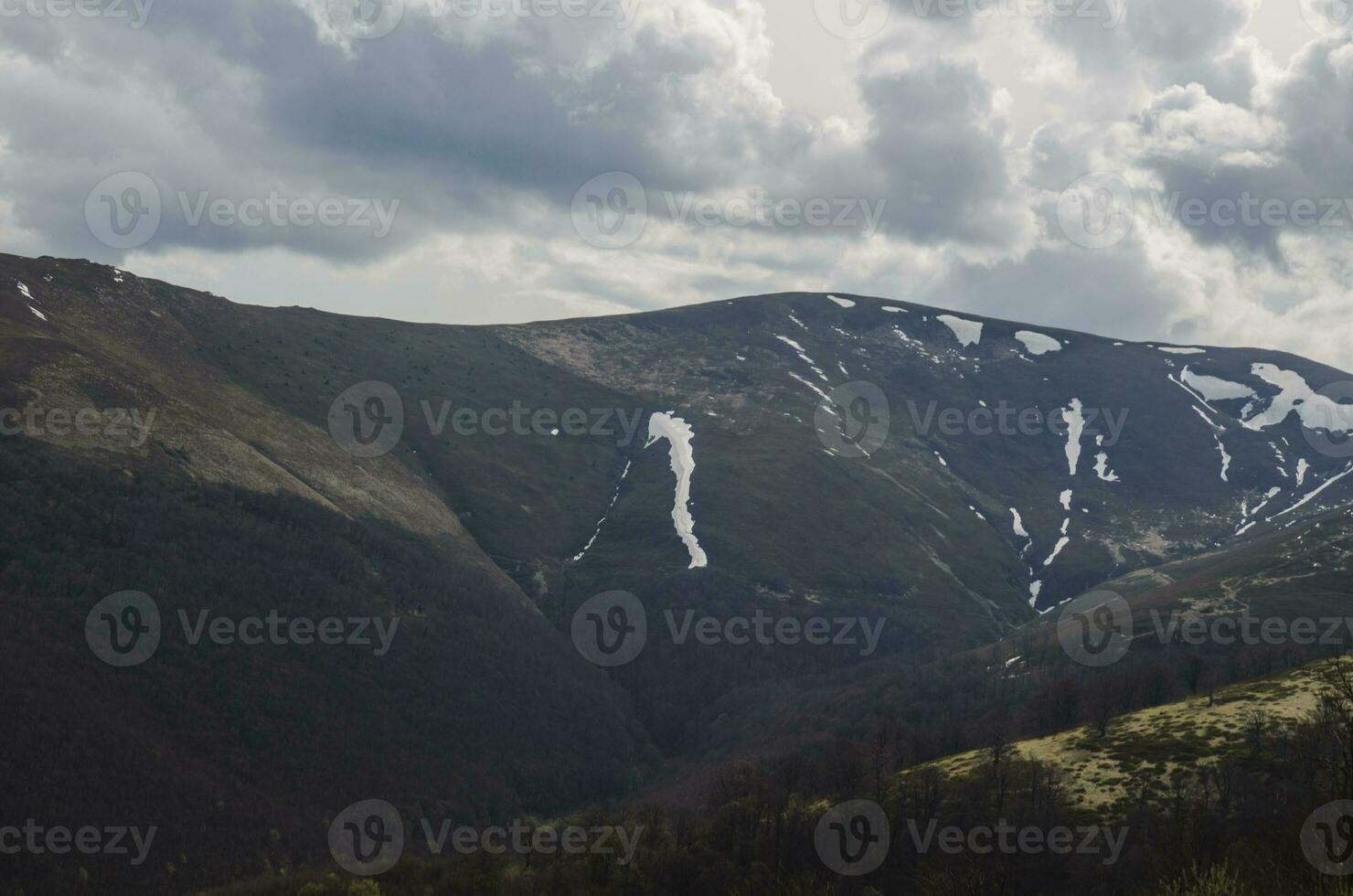 Mountains and forests photo