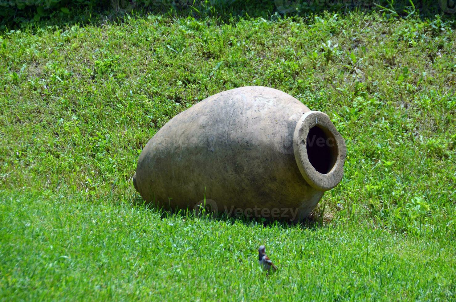 Old wine jar in green grass photo