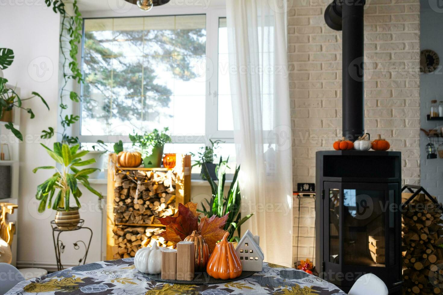 Bright sunny interior of the house with Black Metal Steel fireplace stove with fire and firewood with halloween decor and autumn mood. Cozy home hearth in interior with indoor potted plant photo