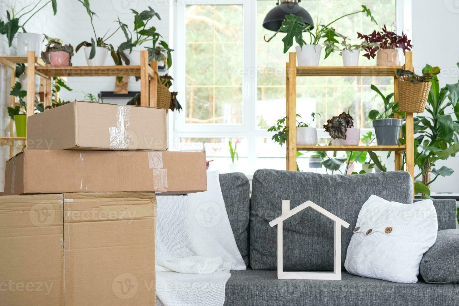 Boxes with things for moving and house plants are in the room of the new house. Housewarming, family property, cargo transportation and delivery of things photo