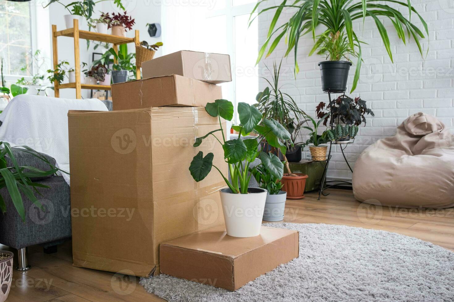 Boxes with things for moving and house plants are in the room of the new house. Housewarming, family property, cargo transportation and delivery of things photo