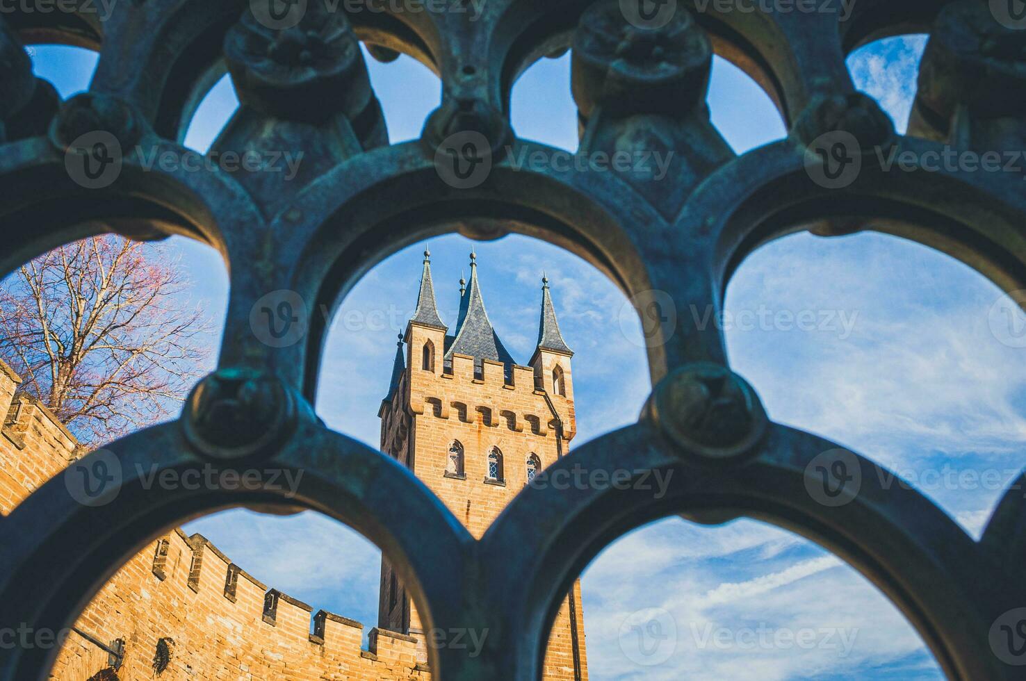 View on the castle through the fence photo