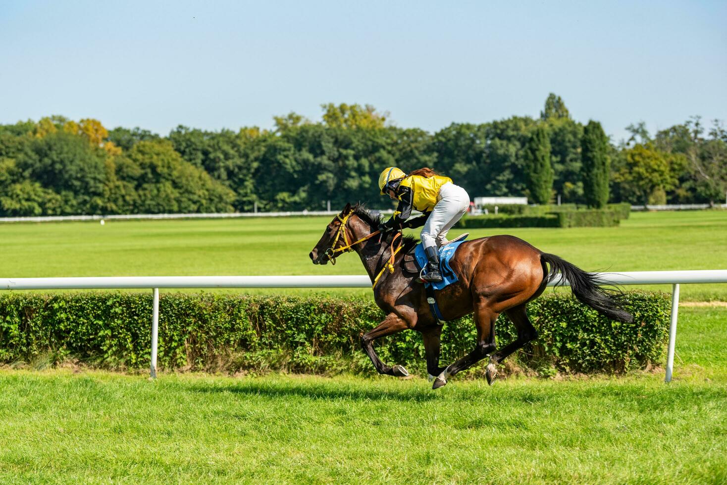 Wroclaw, Poland - Sep 10, 2023 - Jockeys competing on Wroclaw race track photo