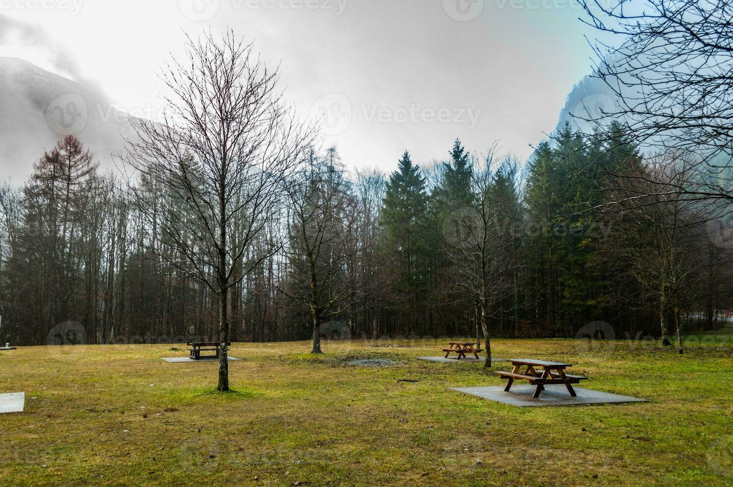 Beautiful green lawn with wooden tables in Alps photo