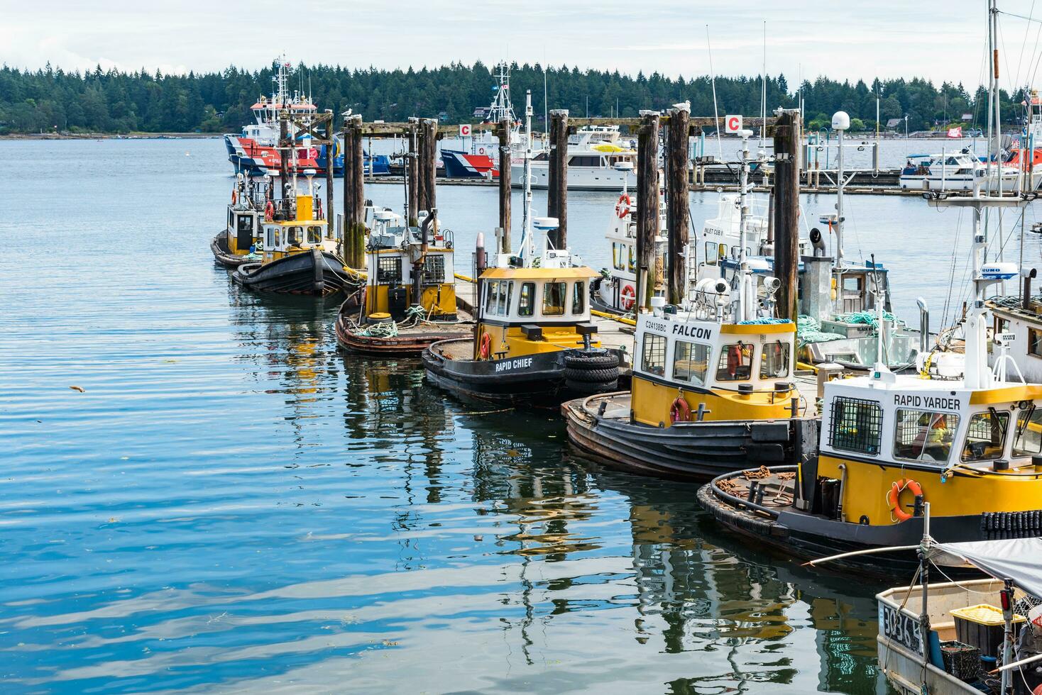 Victoria, Canada - Jul 10, 2022 - Yellow boats in the bay area of the island photo