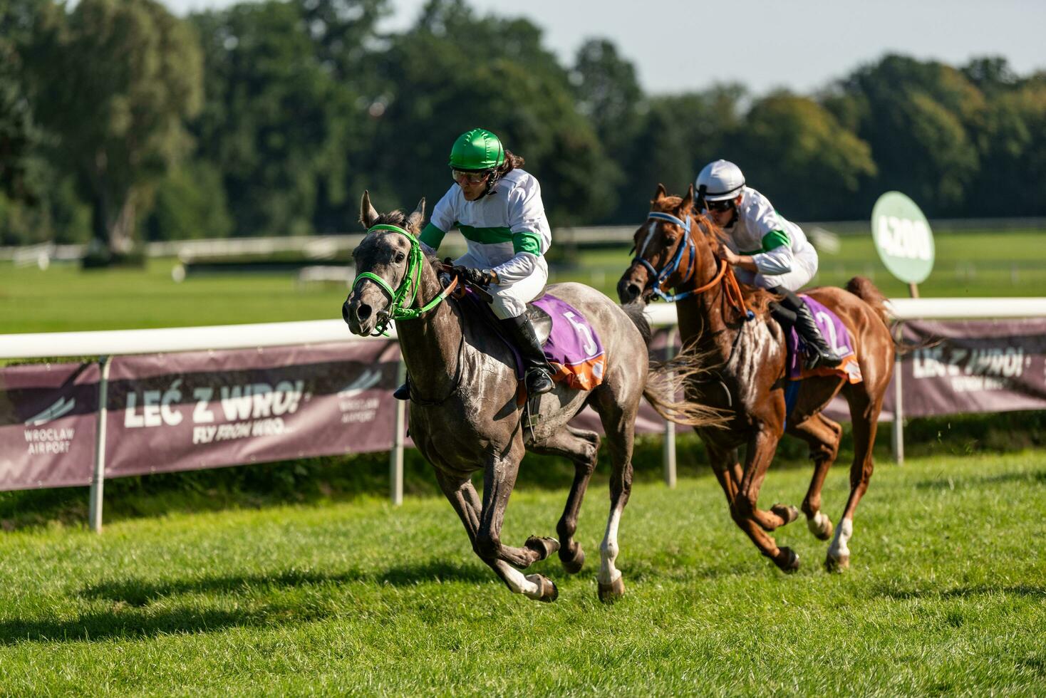 Wroclaw, Poland - Sep 10, 2023 - Jockeys competing on Wroclaw race track photo