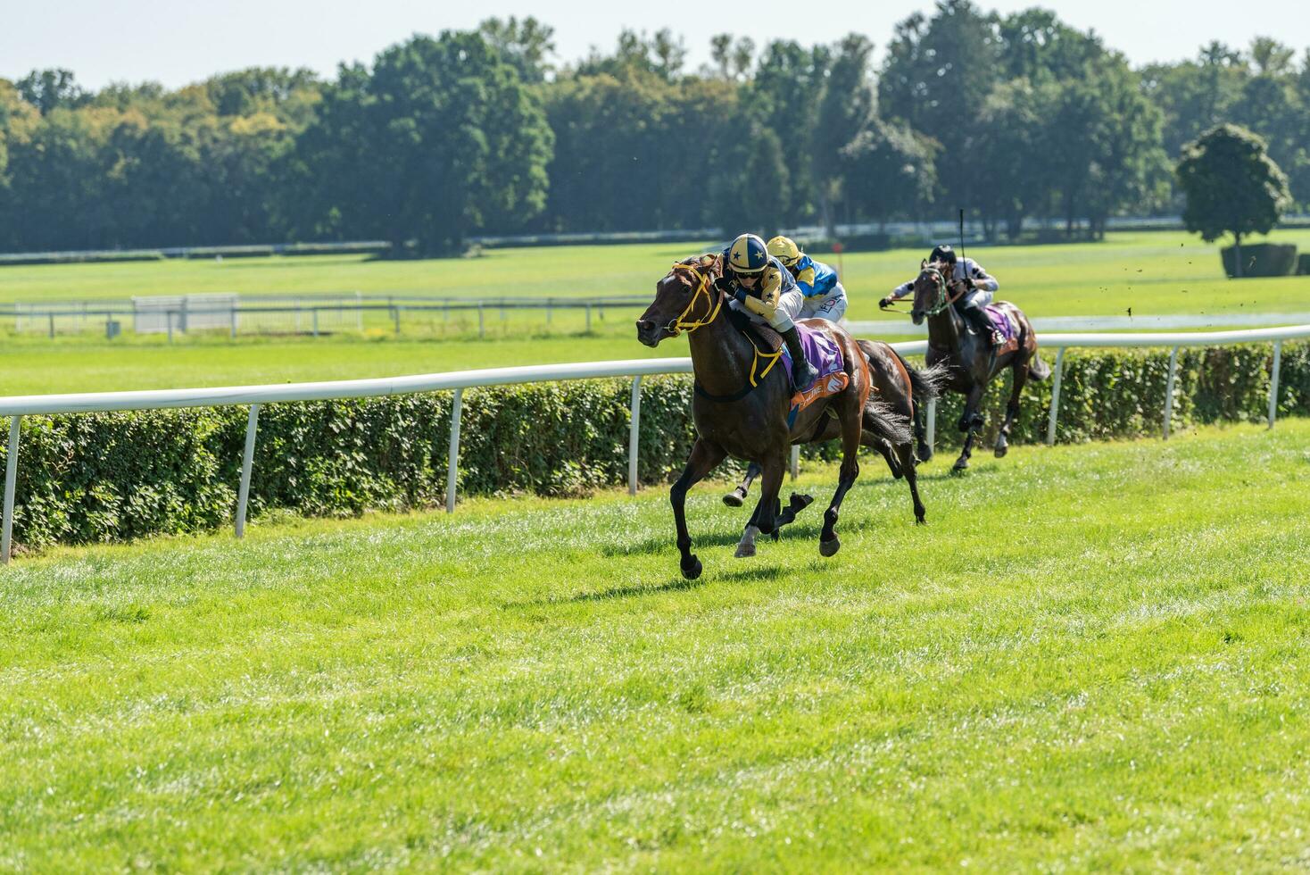 Wroclaw, Poland - Sep 10, 2023 - Jockeys competing on Wroclaw race track photo