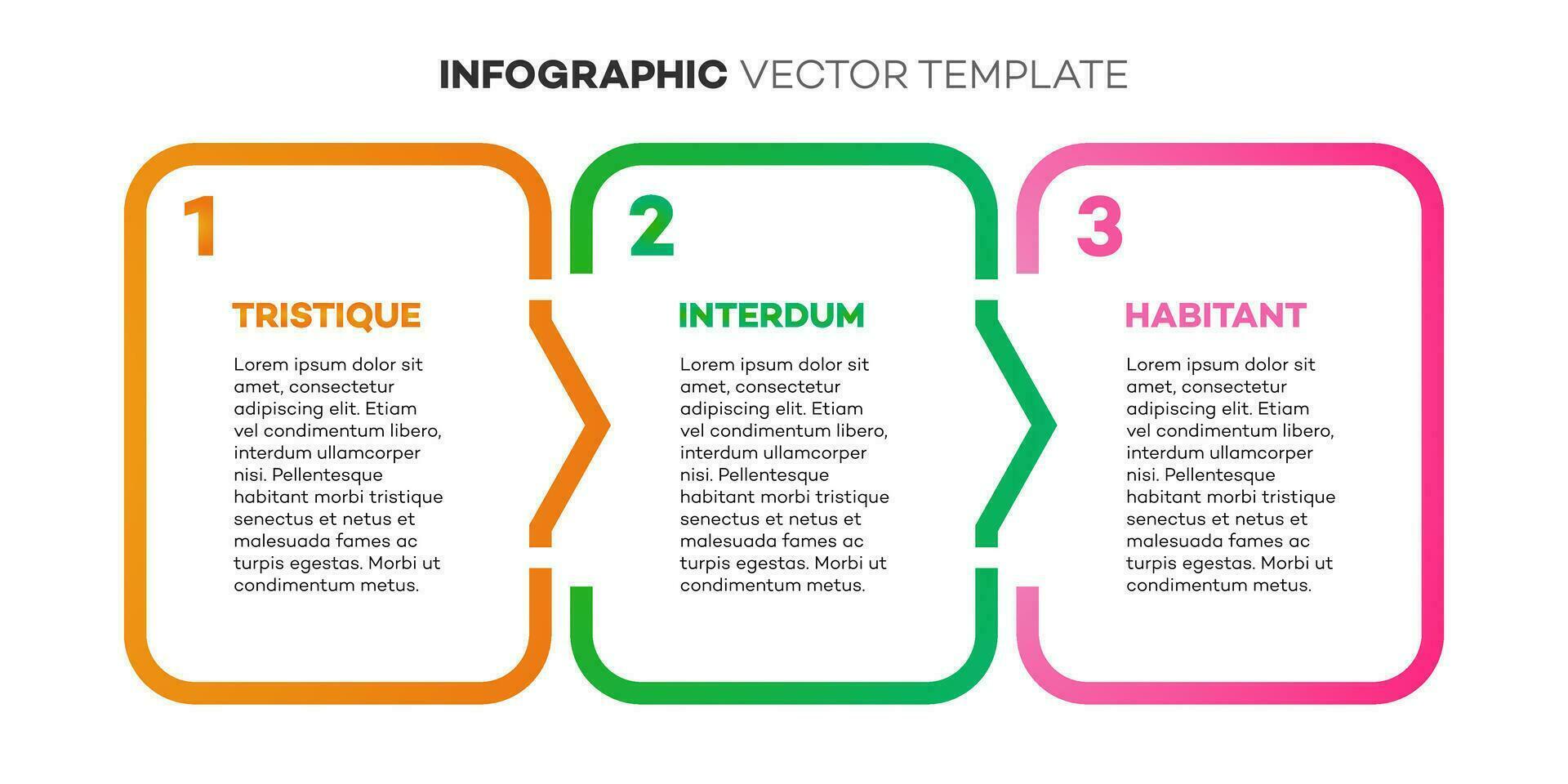 infografía modelo cronograma proceso 3 opción o paso vector