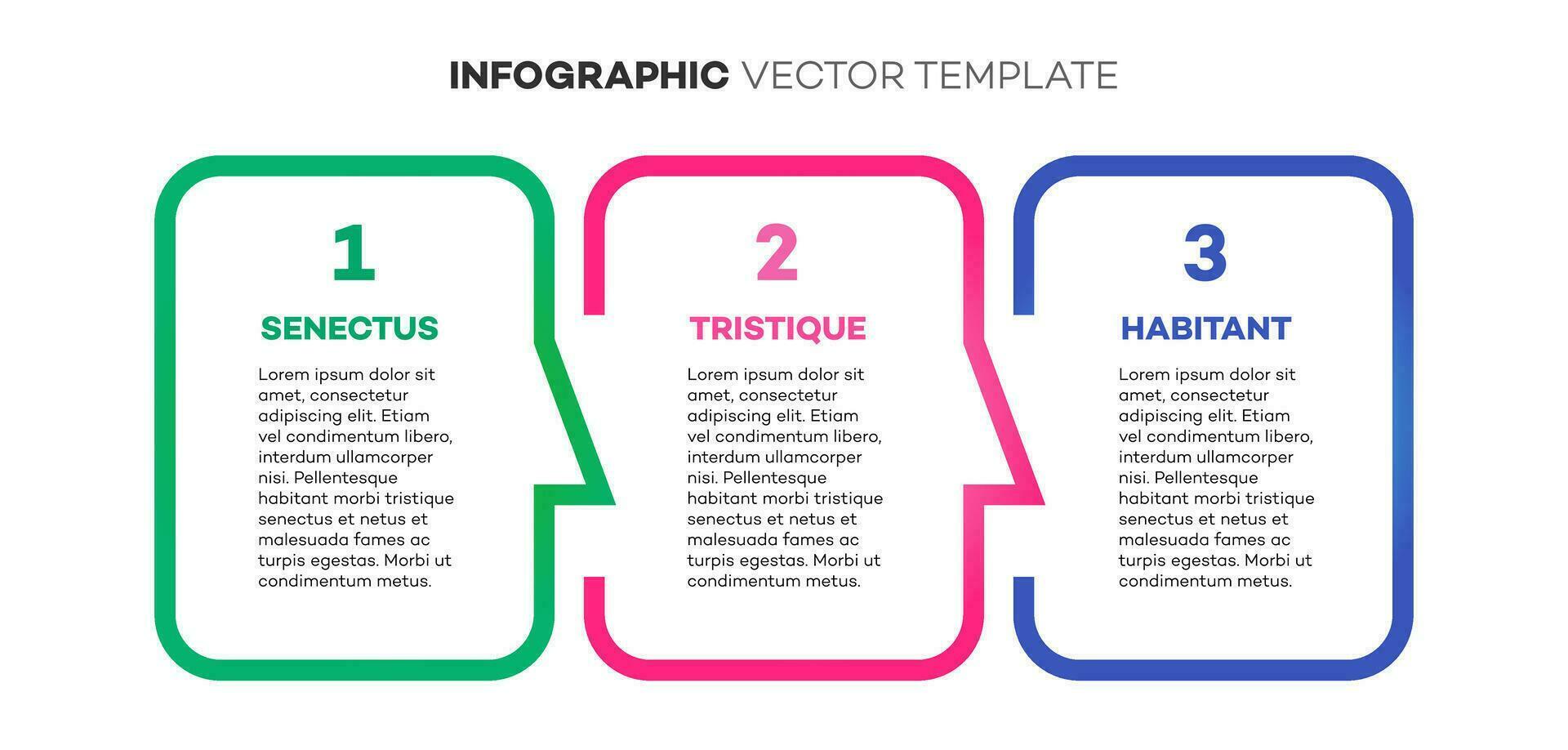 infografía modelo cronograma proceso 3 opción vector