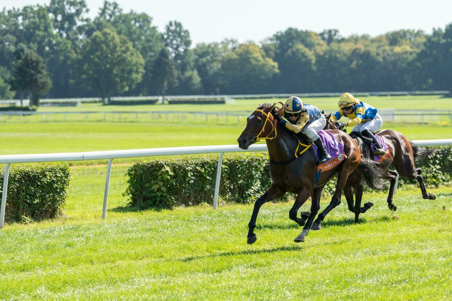 Wroclaw, Poland - Sep 10, 2023 - Jockeys competing on Wroclaw race track photo