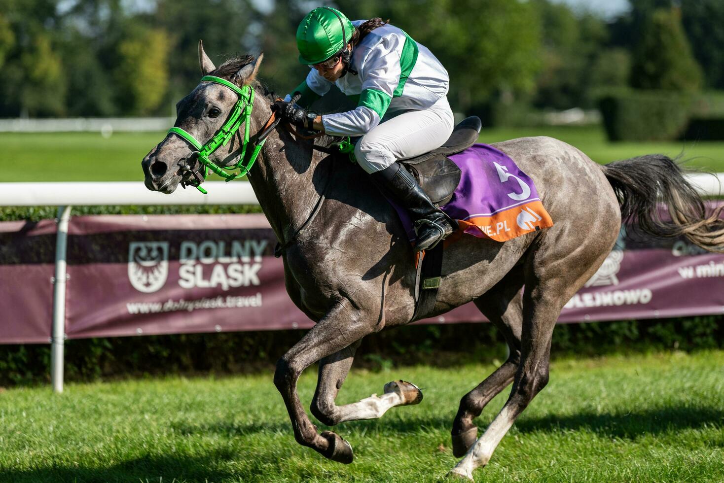 Wroclaw, Poland - Sep 10, 2023 - Jockeys competing on Wroclaw race track photo