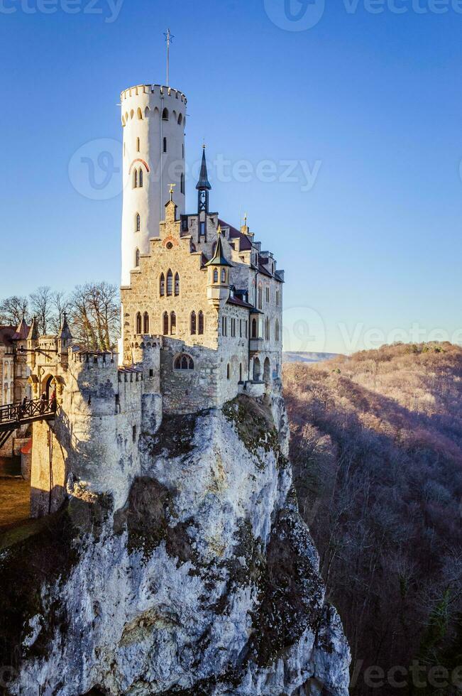 Ancient castle on the rock with a deep forest and blue sky on the background photo