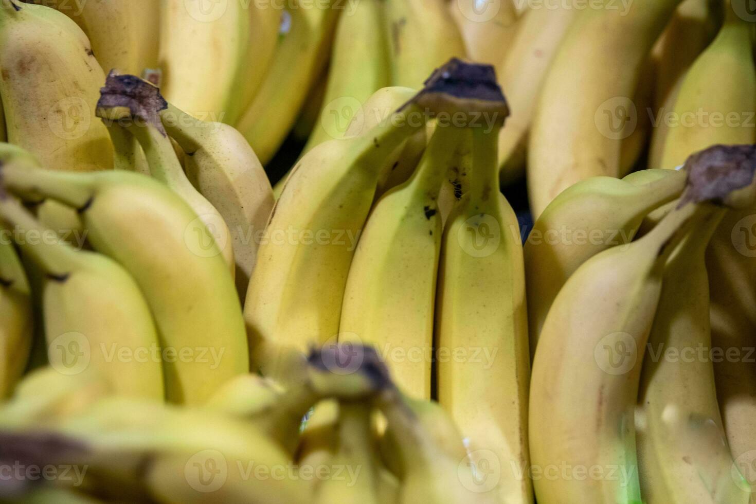 Bunch of bananas photo