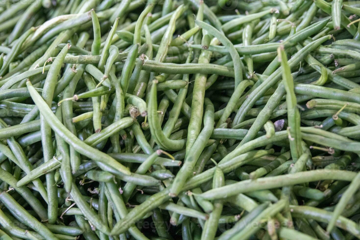 Fresh green beans photo
