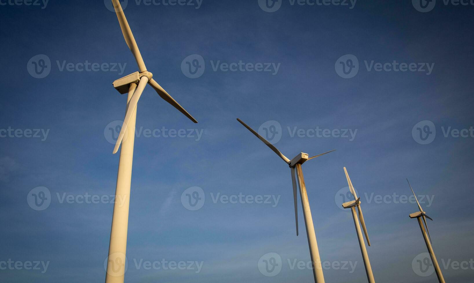 A Row of Wind Turbines photo