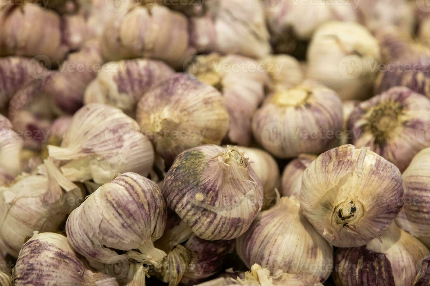 Heap of Garlic Bulbs photo