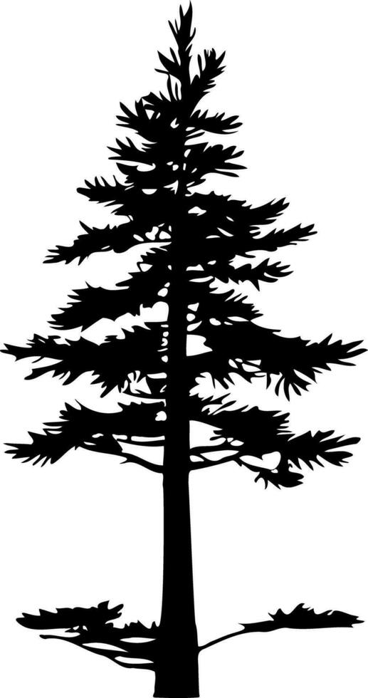 Pine tree silhouette isolated on white background. Vector Illustration.