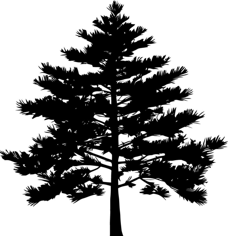 Pine tree silhouette isolated on white background. Vector Illustration.