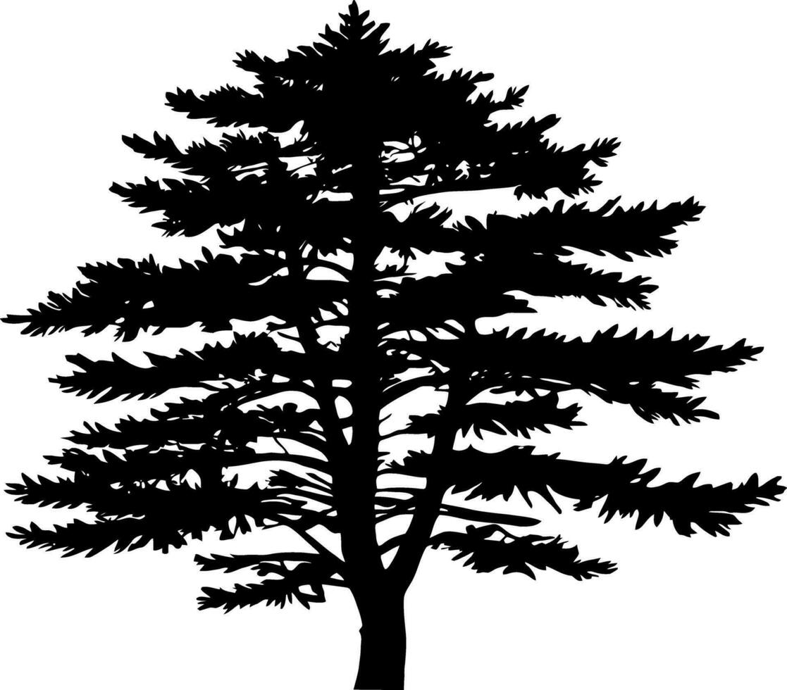 Pine tree silhouette isolated on white background. Vector Illustration.