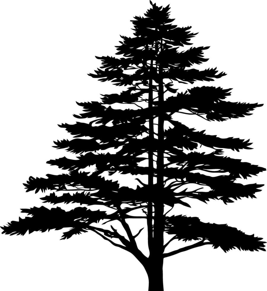 Pine tree silhouette isolated on white background. Vector Illustration.