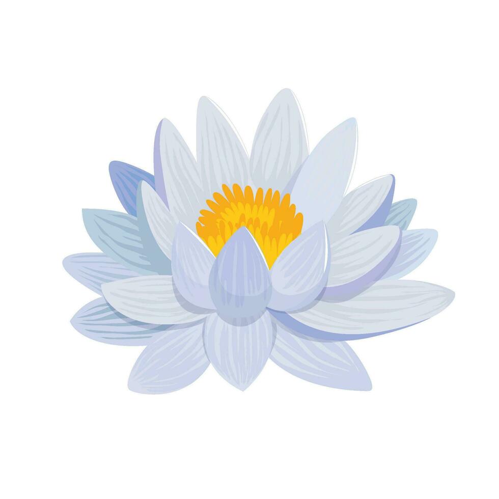 Blue Lotus Flower With Yellow Center vector