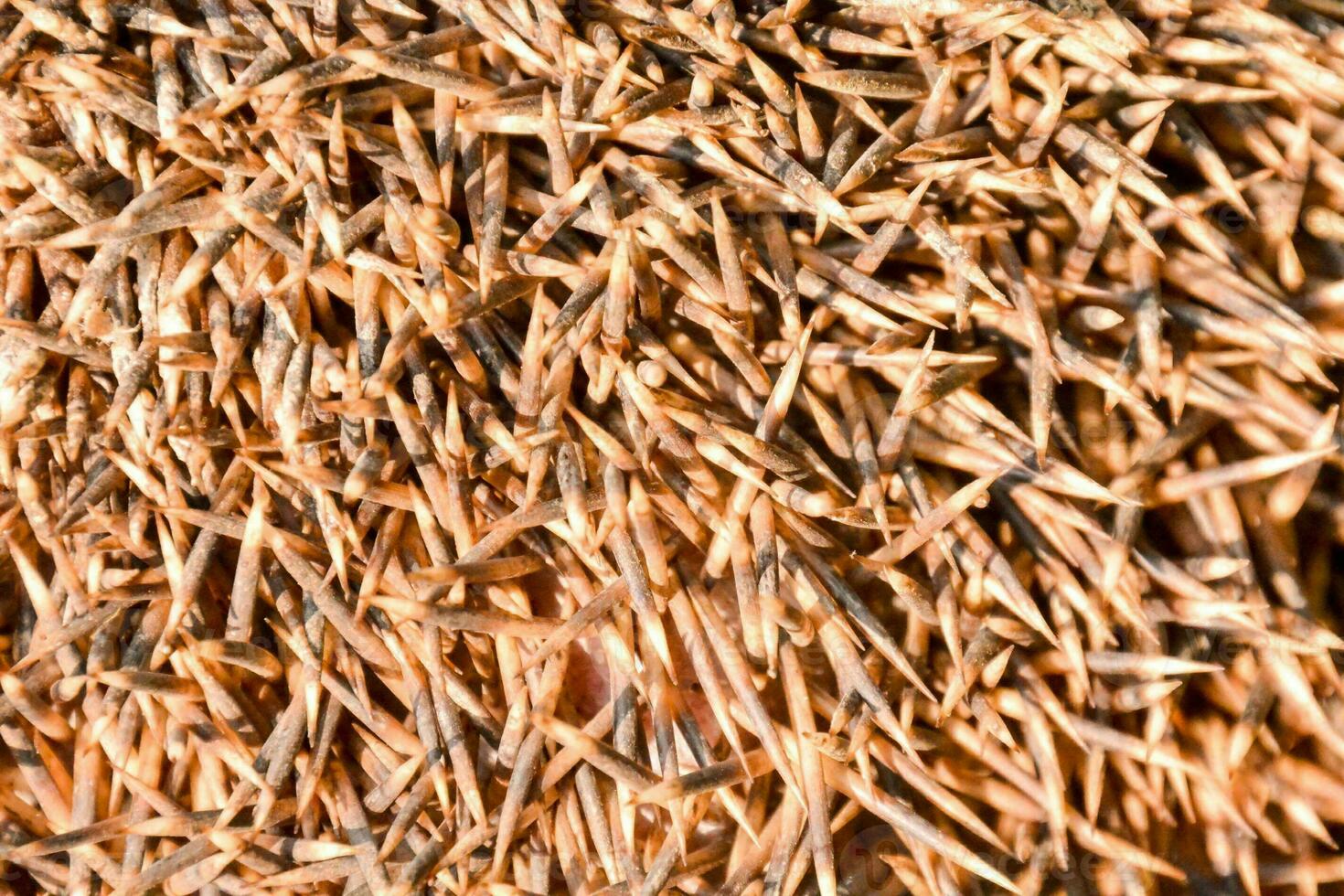 a pile of needles is shown in this photo