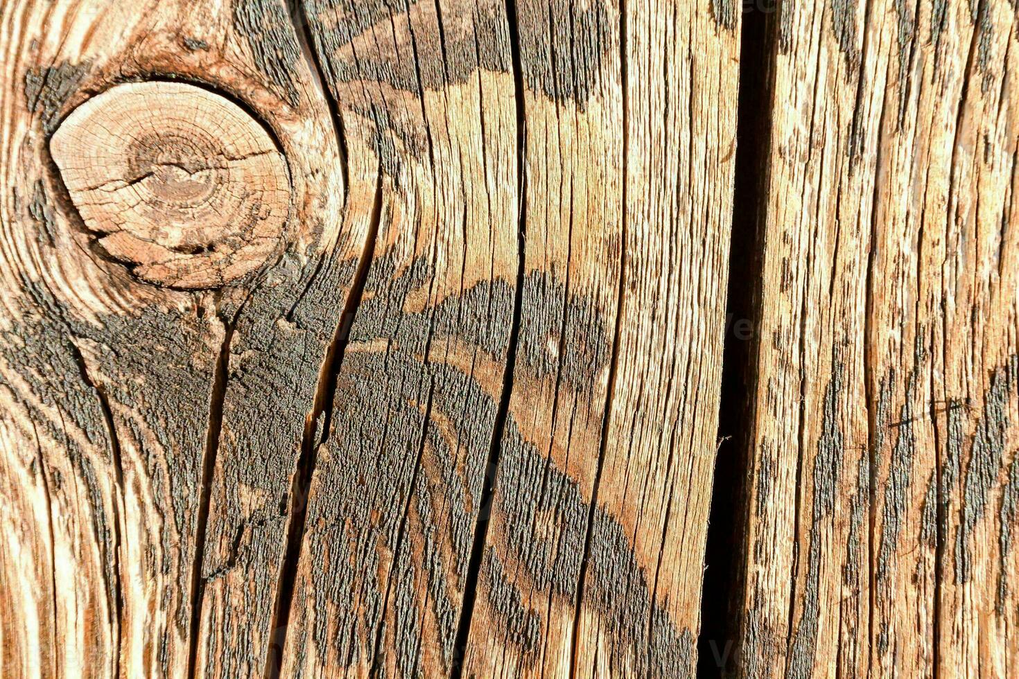 a close up of a wooden wall with a knot photo
