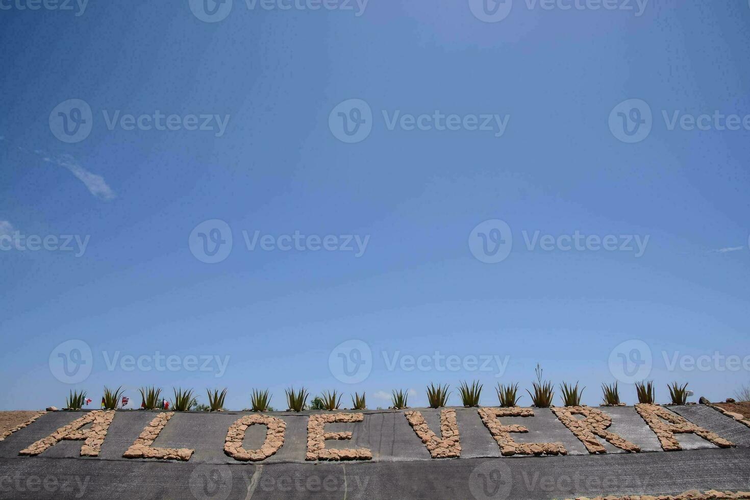 aloe vera resort sign photo