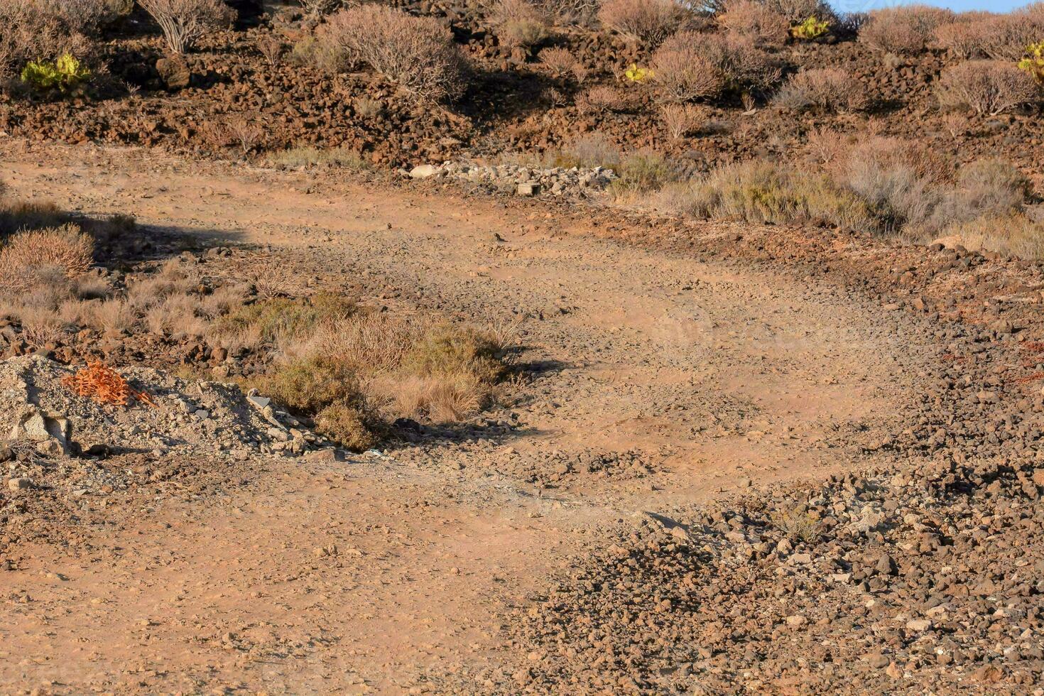 a dirt road in the desert photo