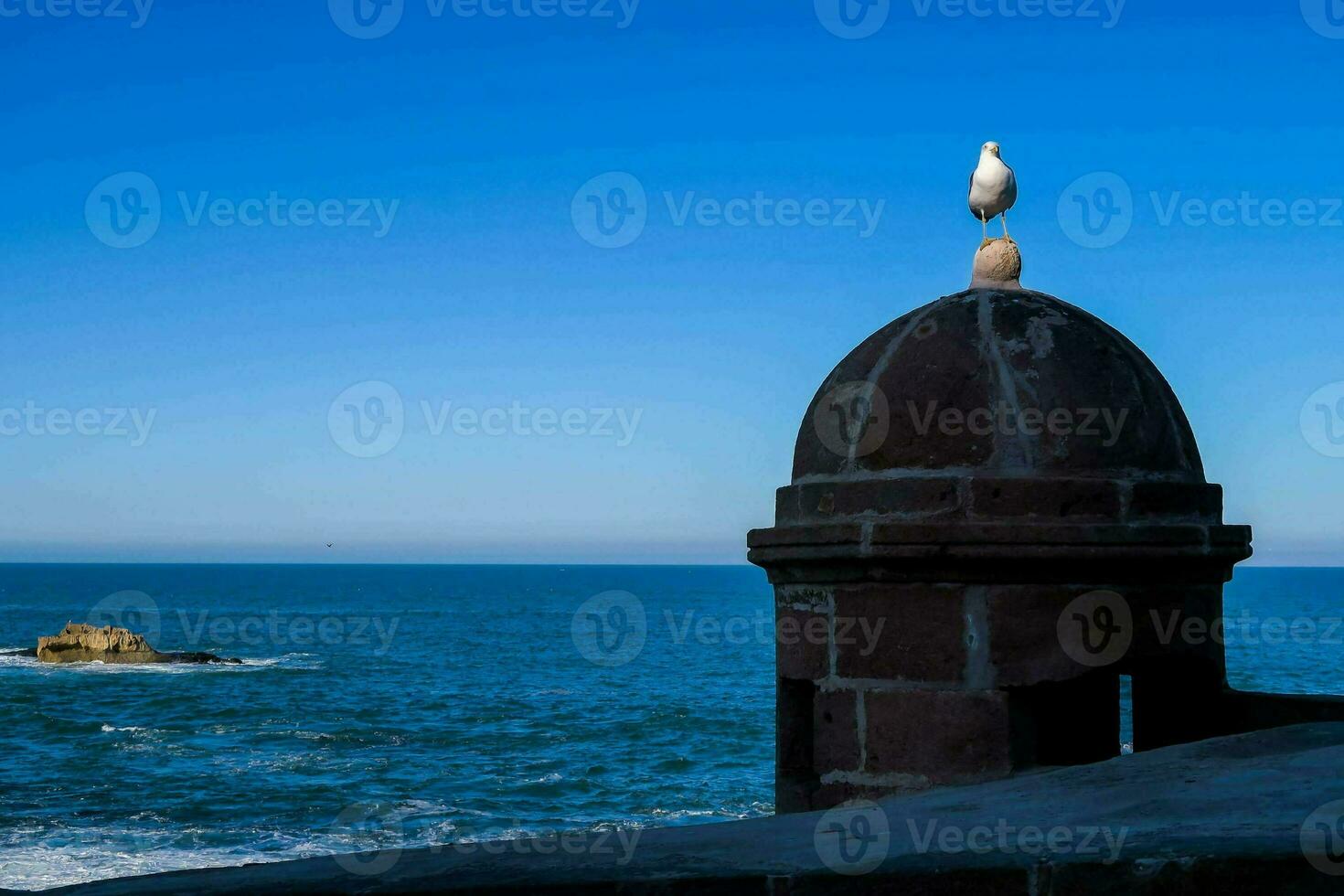 a seagull perched on top of a stone pillar photo