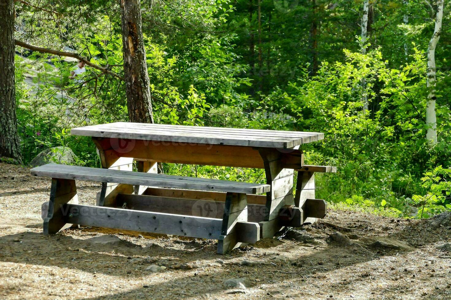 A table in the forest photo