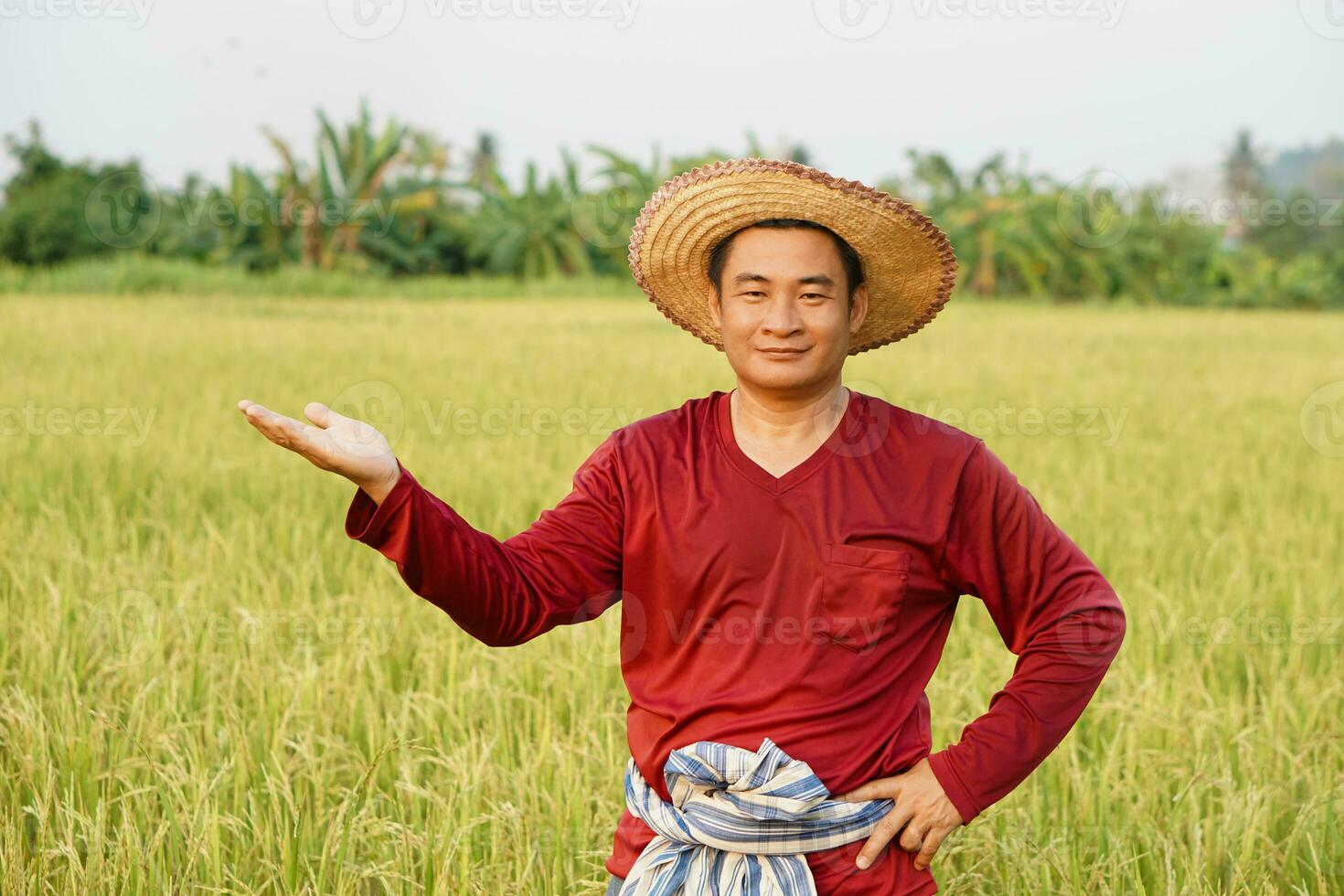 Handsome Asian man farmer wears hat, red shirt, pose hand on waist and  make hand gesture to present, stands at paddy field. Concept, agriculture occupation. Lifestyle. Copy space for adding text. photo