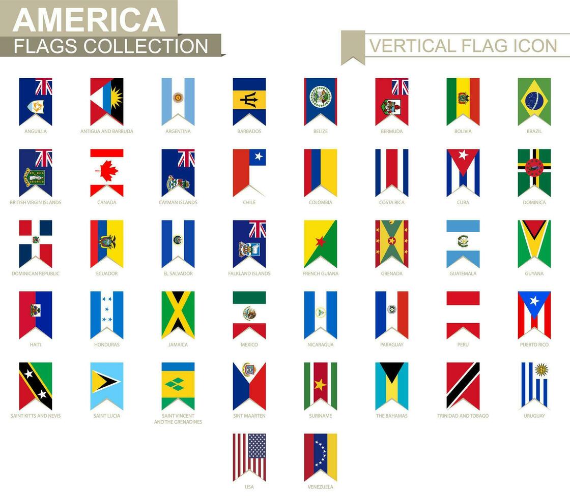Vertical flag icon of America. vector