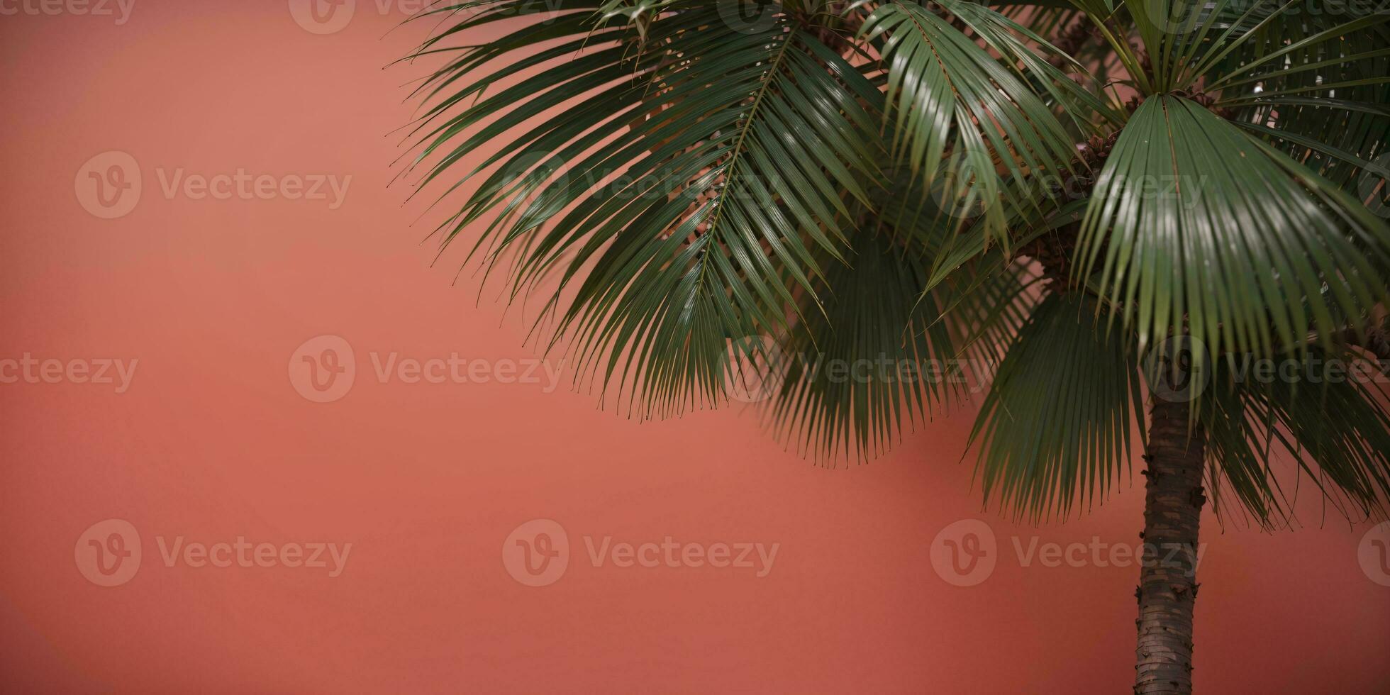 tropical palm tree leaves against a red background with copy space, AI Generated photo