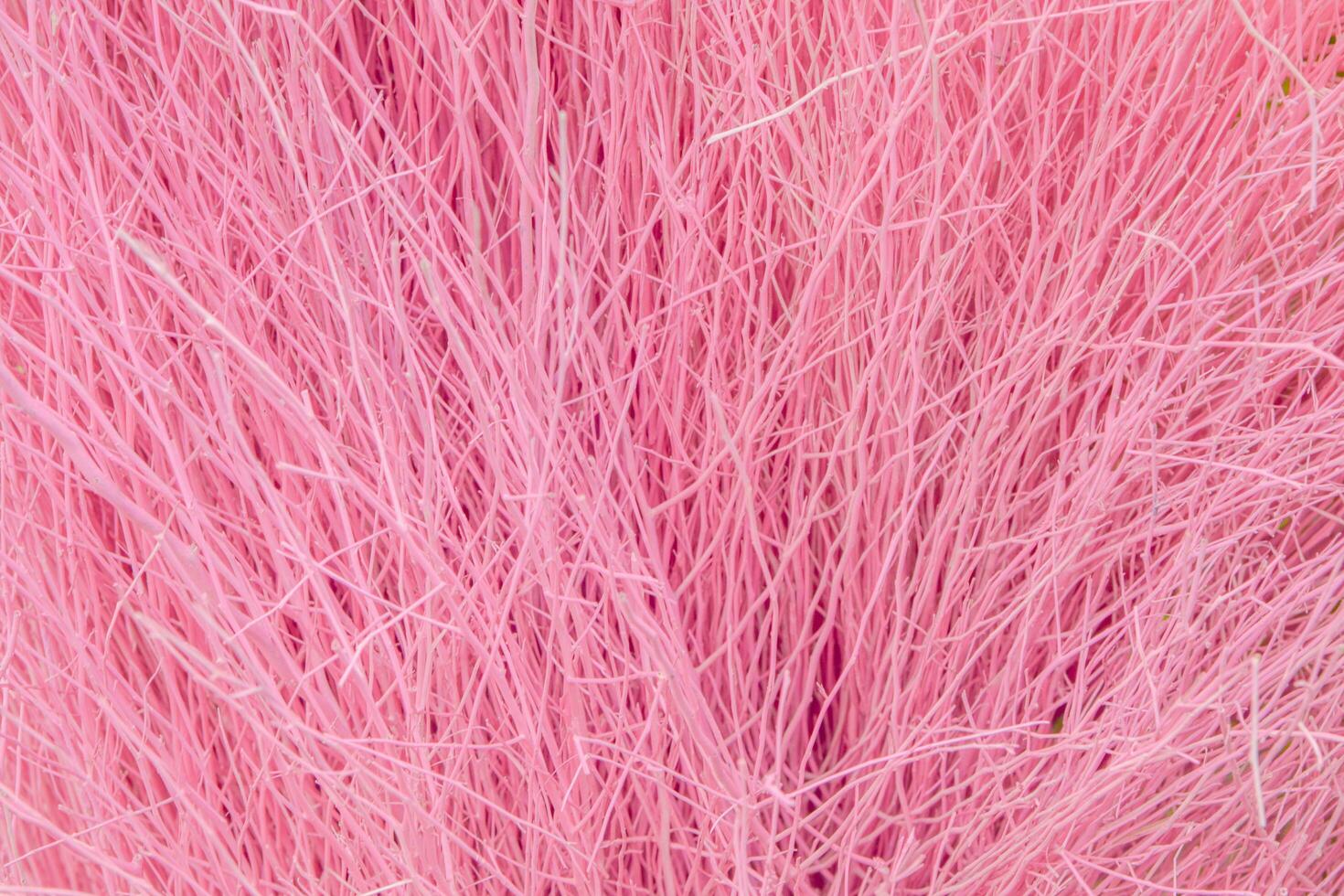 Many small branches gathered together Dyed in many different colors, textured photo