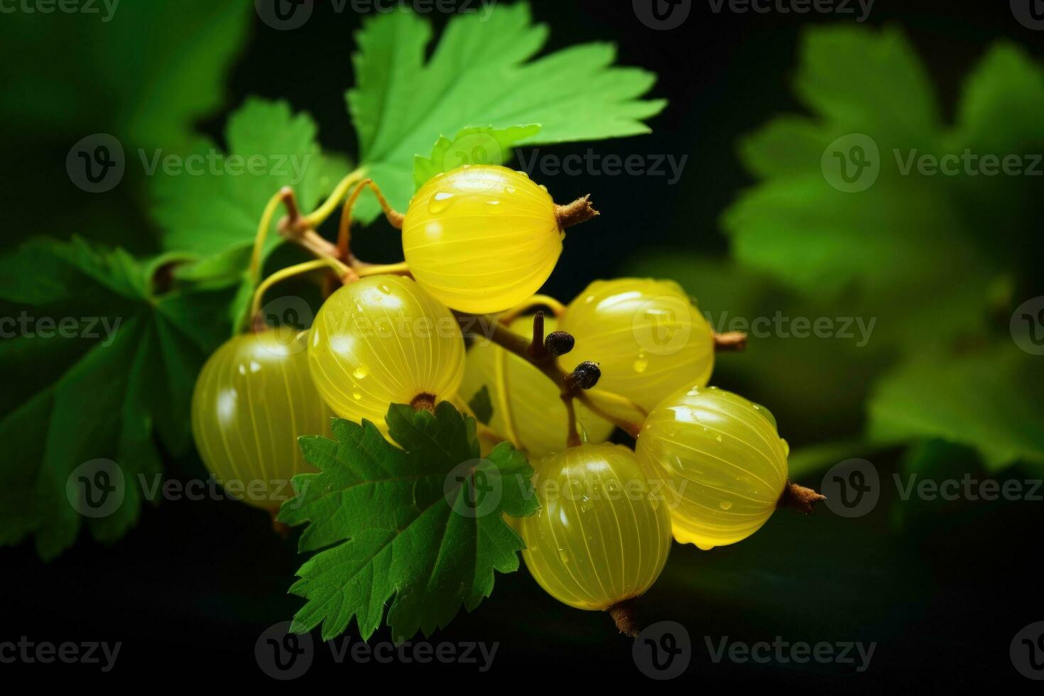 Ripe gooseberry berries with leaves. AI-Generated photo