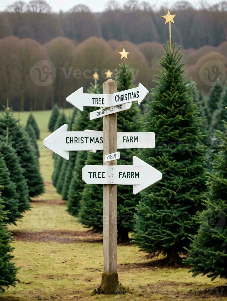 Photo Of Christmas Christmas Tree Farm Signpost. AI Generated