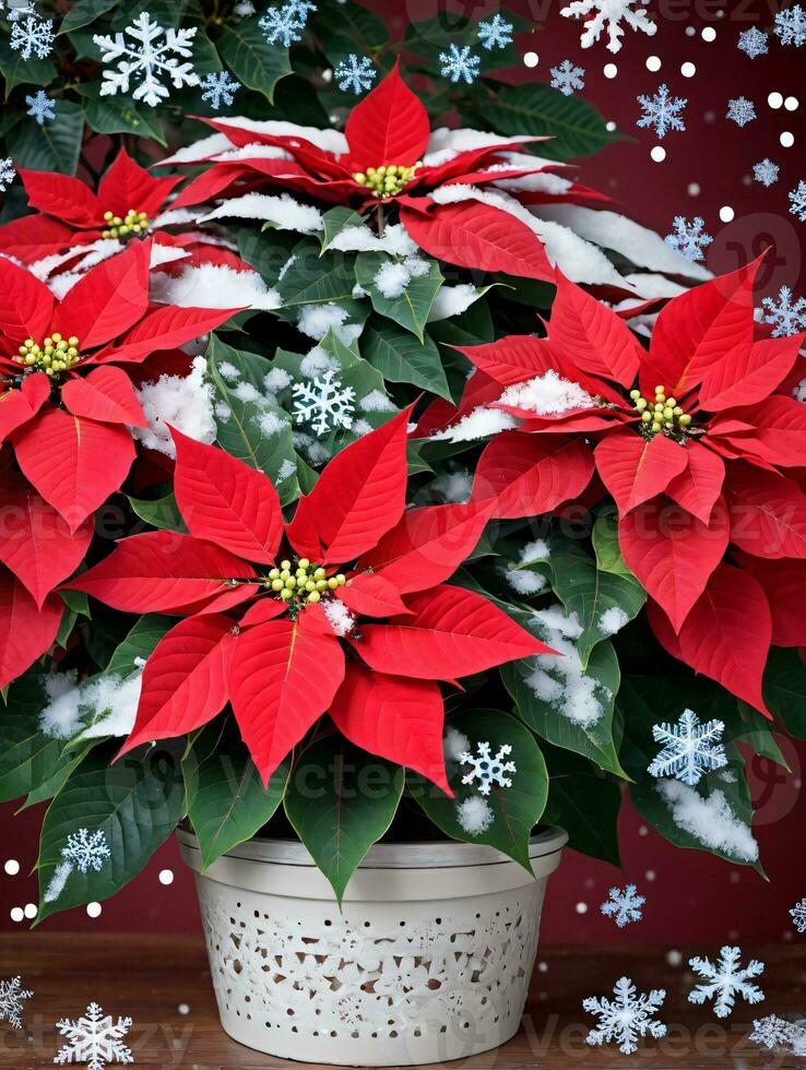 foto de Navidad flor de pascua planta rodeado por copos de nieve. ai generado